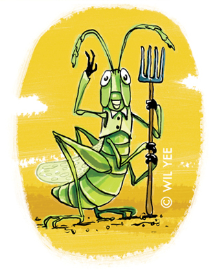 illustration of Illustration, Advertising, Character Development, Packaging Illustration, Print, Product Illustration, Animals, Cartoon, Creature Design, Board Games, Interactive, Websites