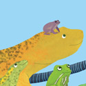 illustration of A group of Amphibians created for a book cover.