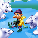 illustration of Polar Bears curiosity on a video shoot