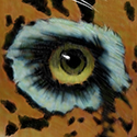 illustration of Eye the a Brazilian Jaguar, drawn in graphite and painting in Photoshop