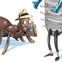 illustration of Bug People